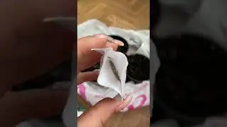 Чем занять себя, когда такая ситуация в Мире? Огород на балконе