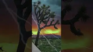 Monsoon Awareness Week: Lightning Myth #2  