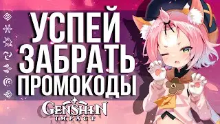 3 НОВЫХ ПРОМОКОДА В GENSHIN IMPACT!