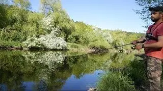 Catching of a perch and pike on a spinning in Moscow area. Catching by a spinning in Russia.