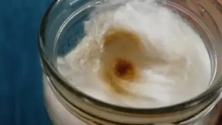 IQOS experiment