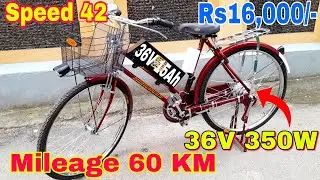 20 Inch Cycle High Speed Hub Motor 36 Volt 350 Watt