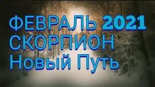 ФЕВРАЛЬ 2021. ДАРЫ металлического Быка. СКОРПИОН