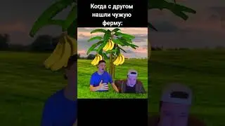 Винограааад, сливы, яблоки 2 зеленых #mellstroy #рекомендации