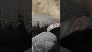 Я просто был в Шоке от такой находки!!! 