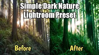 Tutorials edit simple aesthetic photo in Lightroom