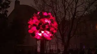 VILNIUS LIGHT FESTIVAL. Световое шоу. Волшебное дерево HIRAKINOKI