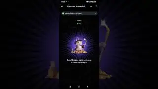 Комбо карты Hamster Kombat 15 - 16 августа 2024: карты, секреты и как найти комбо сегодня в Хомяке