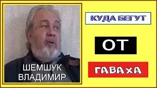 КУДА БЕГУТ ОТ ГАВАХА. Шемшук Владимир. 