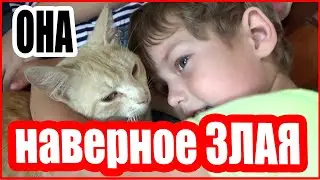 Как я попала в аварию ВЛОГ