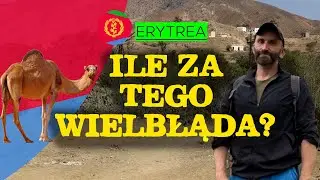 Podróż po Erytrei – nielegalnie na targu wielbłądów i u Madonny w baobabie