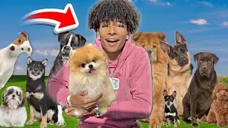 WE FINALLY WENT DOG SHOPPING!! *Emotional**