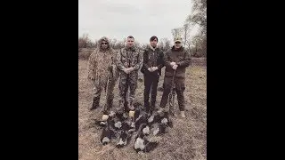 Отстрел серой вороны 2019. Відстріл сірої ворони. Crow hunting.
