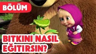 Maşa İle Koca Ayı 🪴 Bitkini nasıl eğitirsin? 😋 (Bölüm 99) Yeni bölüm 2024!💥🎬