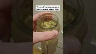 Уличный туалет никогда не будет вонять и мух не будет! 