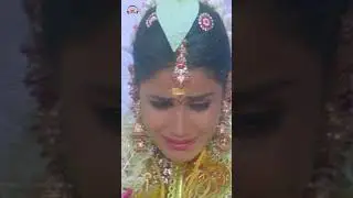 Ninne Ninne Song | Sasirekha Parinayam Movie | Tarun | Genelia | #YoutubeShorts | Mango Music