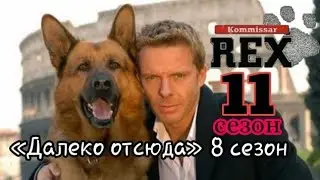 Комиссар Рекс, 11 сезон, 8 серия «Далеко отсюда»