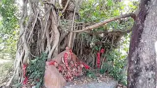 Indian Rural Village Life West Bengal l Rural India | Rural life of Bengal | Nature Village Videos |