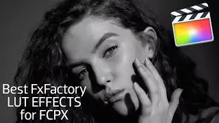 Best LUT Effects for Final Cut Pro