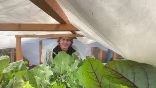 What is growing in the garden in October - Full Garden Tour October 2023