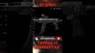 ТОП Т79 ДЛЯ НОВИЧКА 