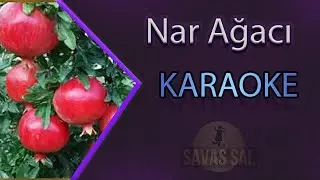 Nar Ağacı Karaoke