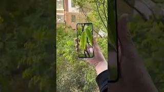 What is the regret about Oppo? Oppo’s mid-range direct screen is finally here. 