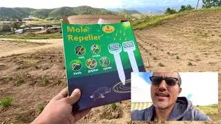 How to get rid of gophers! do they really work? Reviewing Ultrasonic Solar Stakes