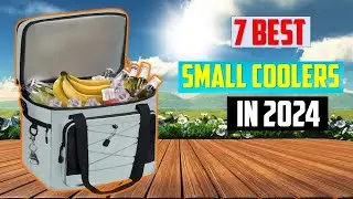 Best Small Coolers of 2024 | TOP 7  Best Small Coolers of 2024