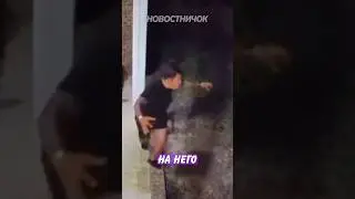 😆 Медведь не ожидал такого от хозяина дома! | Новостничок