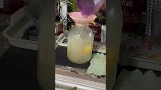 В этом году впервые попробовали закатать березовый сок