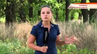 В Запорожье пропавшую 22-летнюю студентку нашли мертвой - Чрезвычайные новости, 10.08