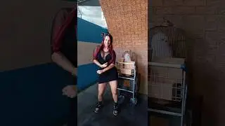 Dance se Souber 💃🎶