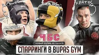 Чибис. Регбист. Мельник. Кратос. Спарринги в Bupas Gym
