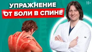 Лучшее упражнение от боли в грудном отделе позвоночника 