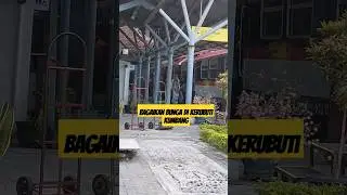 KA PRAMEKS DI SERBU PENUMPANG 