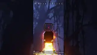 Хищник играет в прятки 😅 