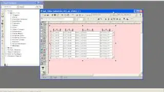 02- Customization form  -Preparing