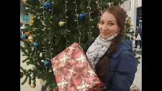 #скороновыйгод #покупки #новогодниеигрушки2020 обзор новогодних украшений #Новыйгод2020