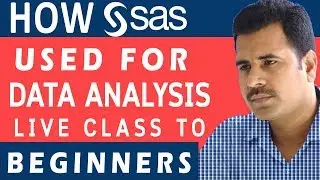 How SAS used for data Analysis ? | For SAS real Beginners