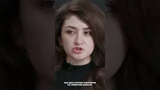 "Они решили, что я вербую товарища". Инса Ландер о террористической статье