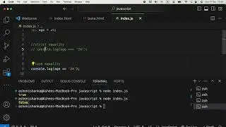 JavaScript: Check Equality of Variables - Difference between === and == (Strict vs Loose Equality)