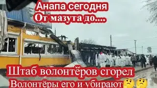 ‼️АНАПА СЕГОДНЯ. СГОРЕВШАЯ БАЗА ВОЛОНТЁРОВ. СОБАКИ ЖРУТ ПТИЦ И ДРУГОЕ