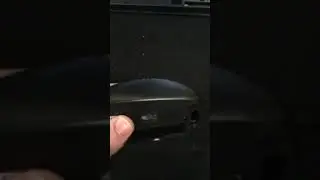 IMG 1646