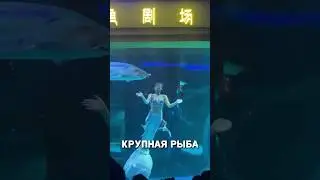 КРУПНЫЙ ОСЁТР укусил россиянку за голову...