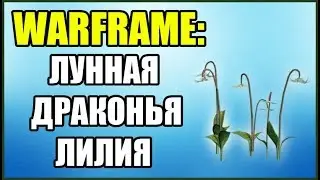 Warframe: Лунная Драконья Лилия. Где найти?