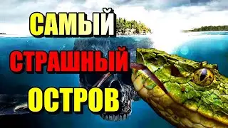 САМЫЙ СТРАШНЫЙ ОСТРОВ В МИРЕ!! Змеиный остров! 