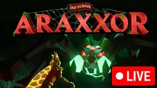 ARAXXOR | LIVE 🎤