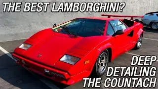 Lamborghini Countach DEEP DETAILING - Paint Correction & Interior Detailing