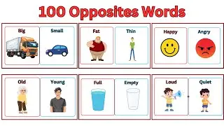 100 Opposite Words in English | Antonyms in English | Opposite Words for Kids | Learn Opposites